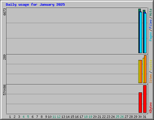 Daily usage for January 2025