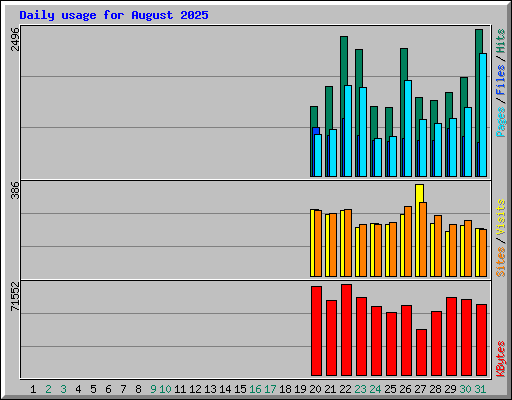 Daily usage for August 2025