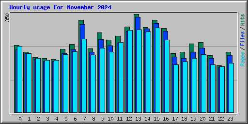 Hourly usage for November 2024