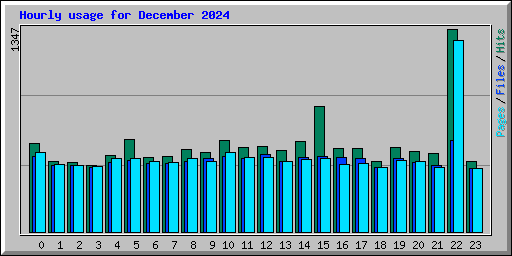 Hourly usage for December 2024