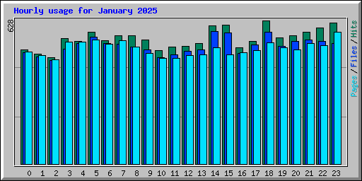 Hourly usage for January 2025