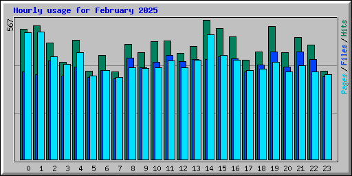 Hourly usage for February 2025