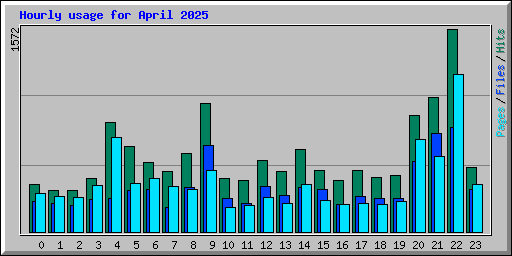 Hourly usage for April 2025