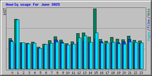 Hourly usage for June 2025