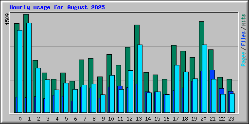 Hourly usage for August 2025