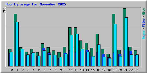 Hourly usage for November 2025