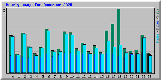 Hourly usage for December 2025