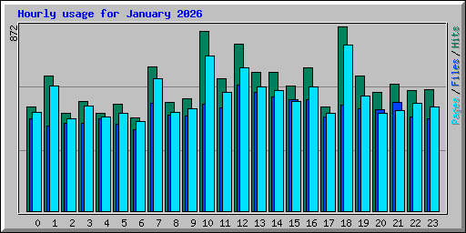Hourly usage for January 2026